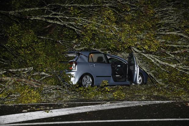 A woman was trapped in a car after it was hit by a fallen tree in New North Rd, Kingsland, Auckland. Photo / Dean Purcell