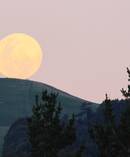 The supermoon loomed large above Mt Rangitumau near Masterton in 2014. Photo / Tina Nixon