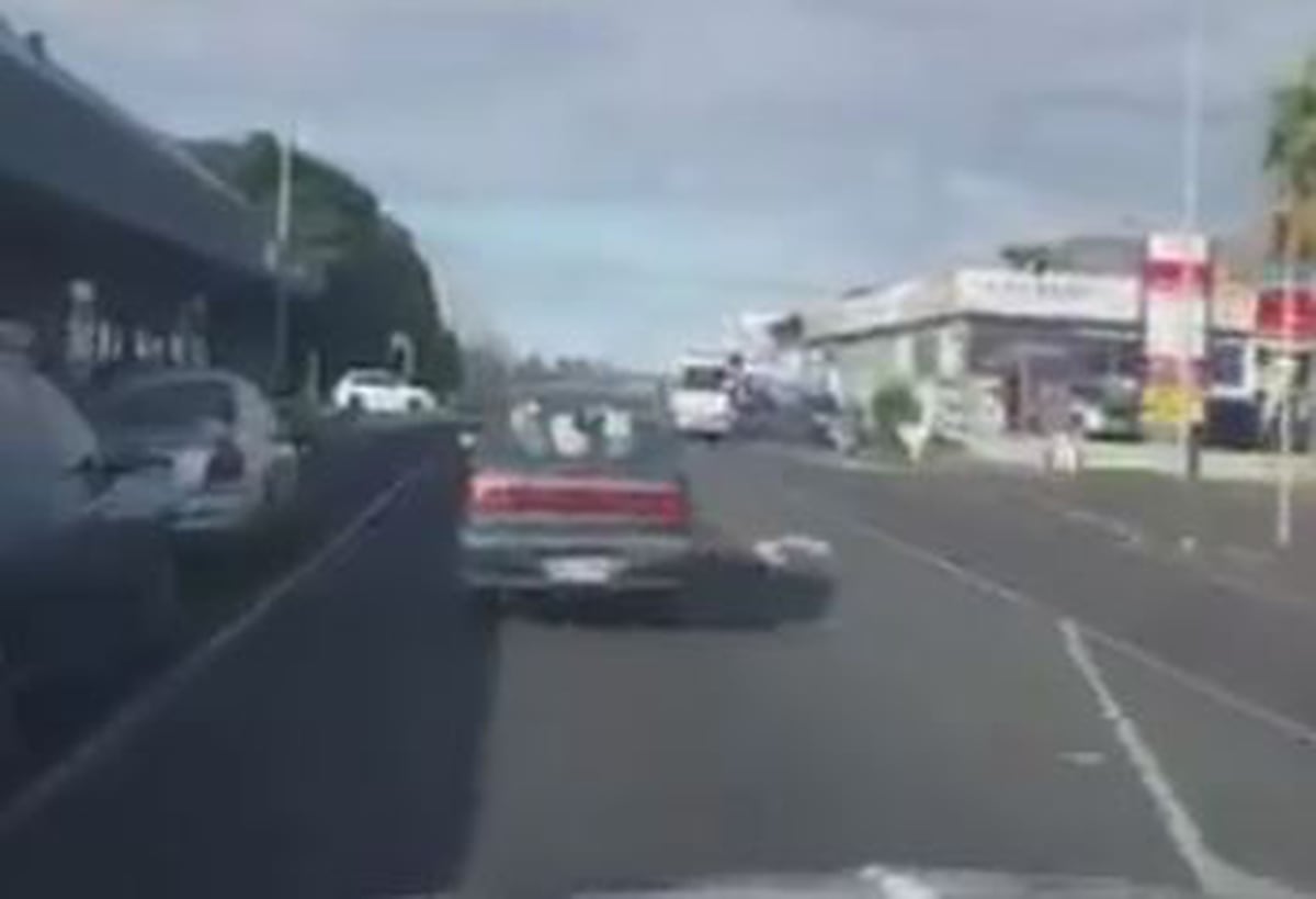 Holy cow! Kiwi cattle drive goes viral