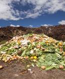 The survey found that 94 per cent of all New Zealanders waste food. Picture / File