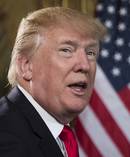 President Donald Trump. Photo / AP