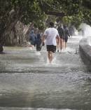 Warmer sea surface temperatures contributed to last week's storm that battered Auckland and other parts of the country. Photo / Jason Oxenham.