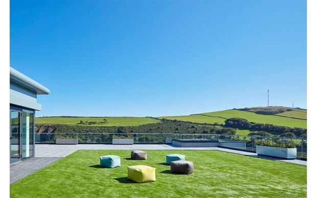 Microgaming's rooftop garden. Photo / Microgaming