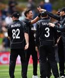 Blackcaps players celebrate. Photo / Photosport.co.nz