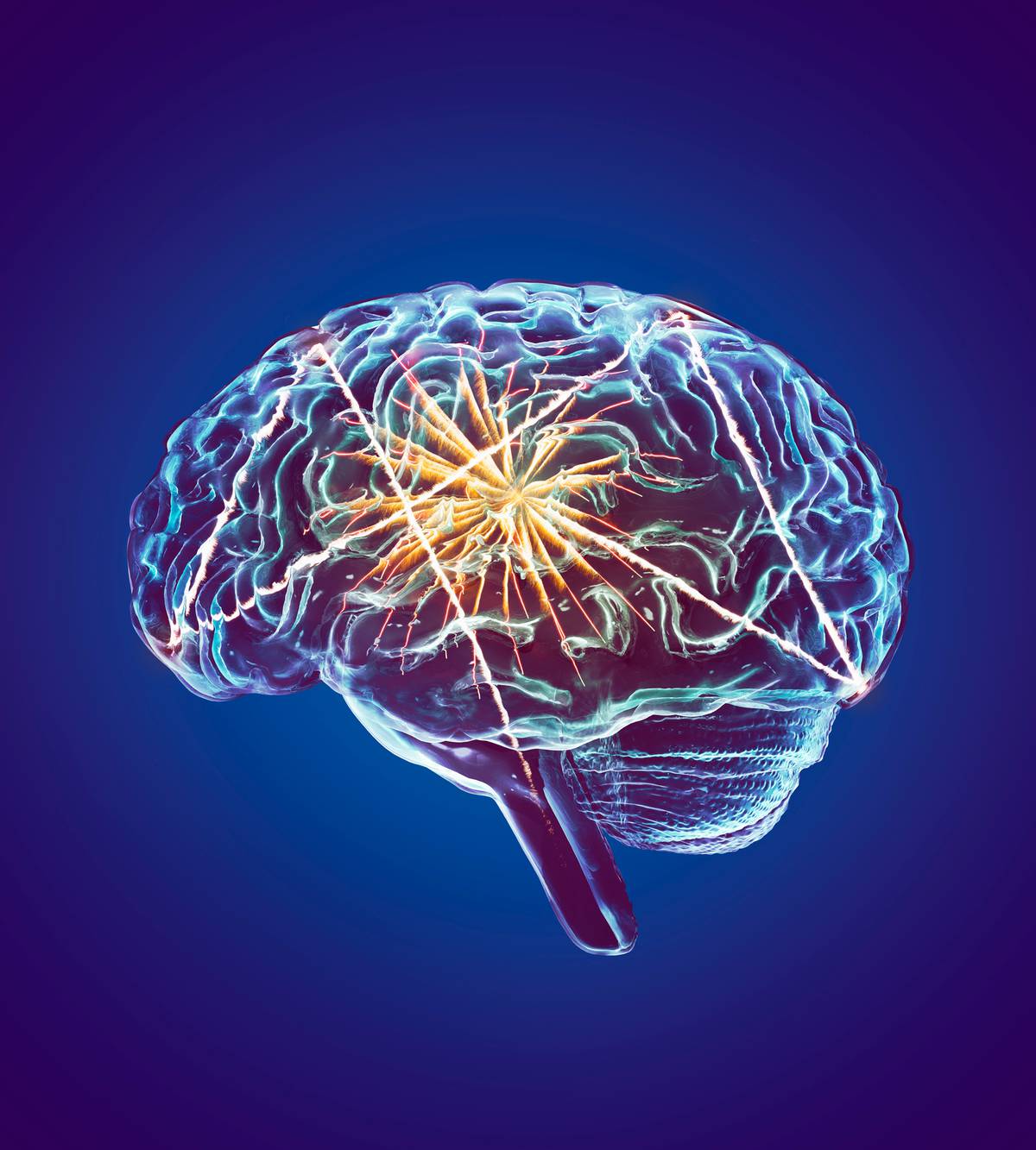 How Scientists Uncovered What Happens To Your Brain During Sex Nz Herald