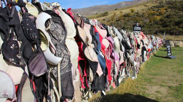 The 'Bradrona' fence in Cardona Valley. Photo / Trip Advisor