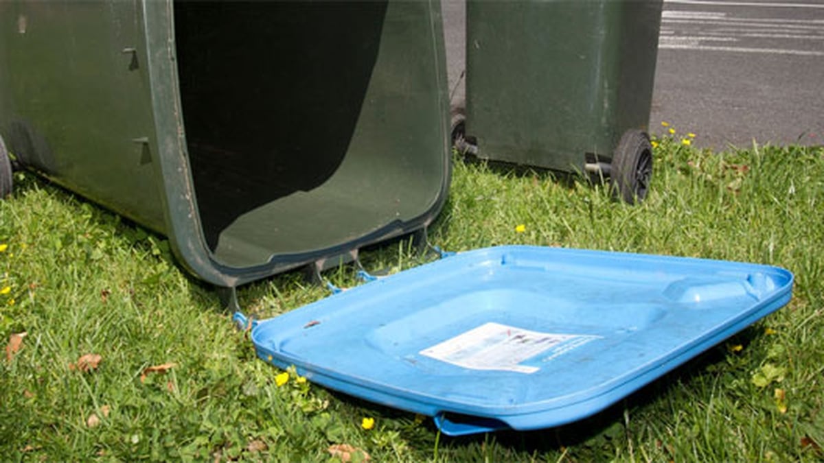 Auckland Council's clampdown on recycling cheats