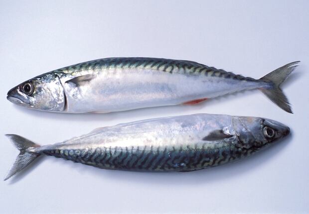 Mackerel is high in amino acids. Photo / Getty Images