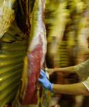 The revamped TPP trade deal has been welcomed by NZ meat exporters. Picture/NZME