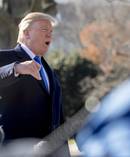 The 'armchair diagnosis' comes after President Donald Trump branded himself a 