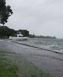 A boat nearly washes ashore at Tauranga's Memorial Park. Photo/Zoe Hunter
