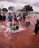 The water at Mission Bay's fountain has turned red, but beach goers weren't bothered. Photo / Dean Purcell