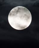 Tonight's 'wolf moon' captured in Auckland. Photo / Greg Bowker