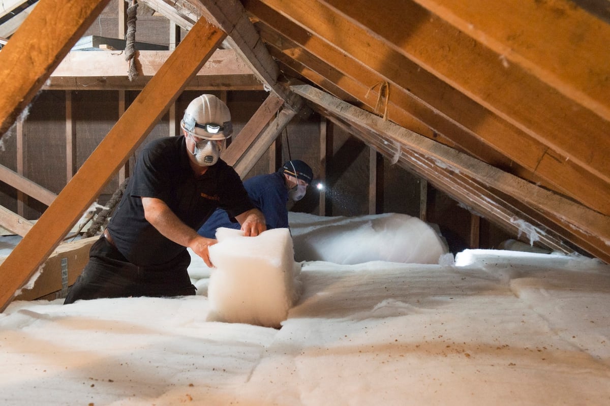 We'll insulate 53,000 homes a year: Winston Peters