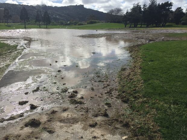 Avalon Park looks more like a lake after heavy rain combined with the travelling circus transformed it into a swamp. Photo/Melissa Nightingale