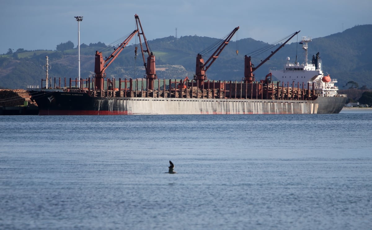 Northport keen to host America's Cup syndicate