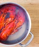 The issue of lobsters in kitchens is controversial. Photo / Getty Images