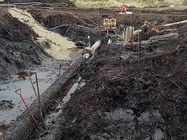 Photo/Michael Cunningham