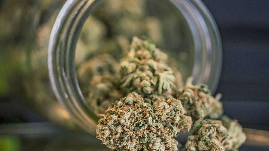 Australia legalizes medicinal cannabis exports