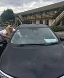 Amy Hollamby lays down the law to another driver she says overtook on a blind corner. Photo / Facebook