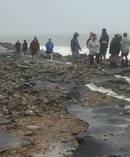 Storm damage makes the Thames Coast road at Ngarimu Bay impassable. Photo / Suzette Major