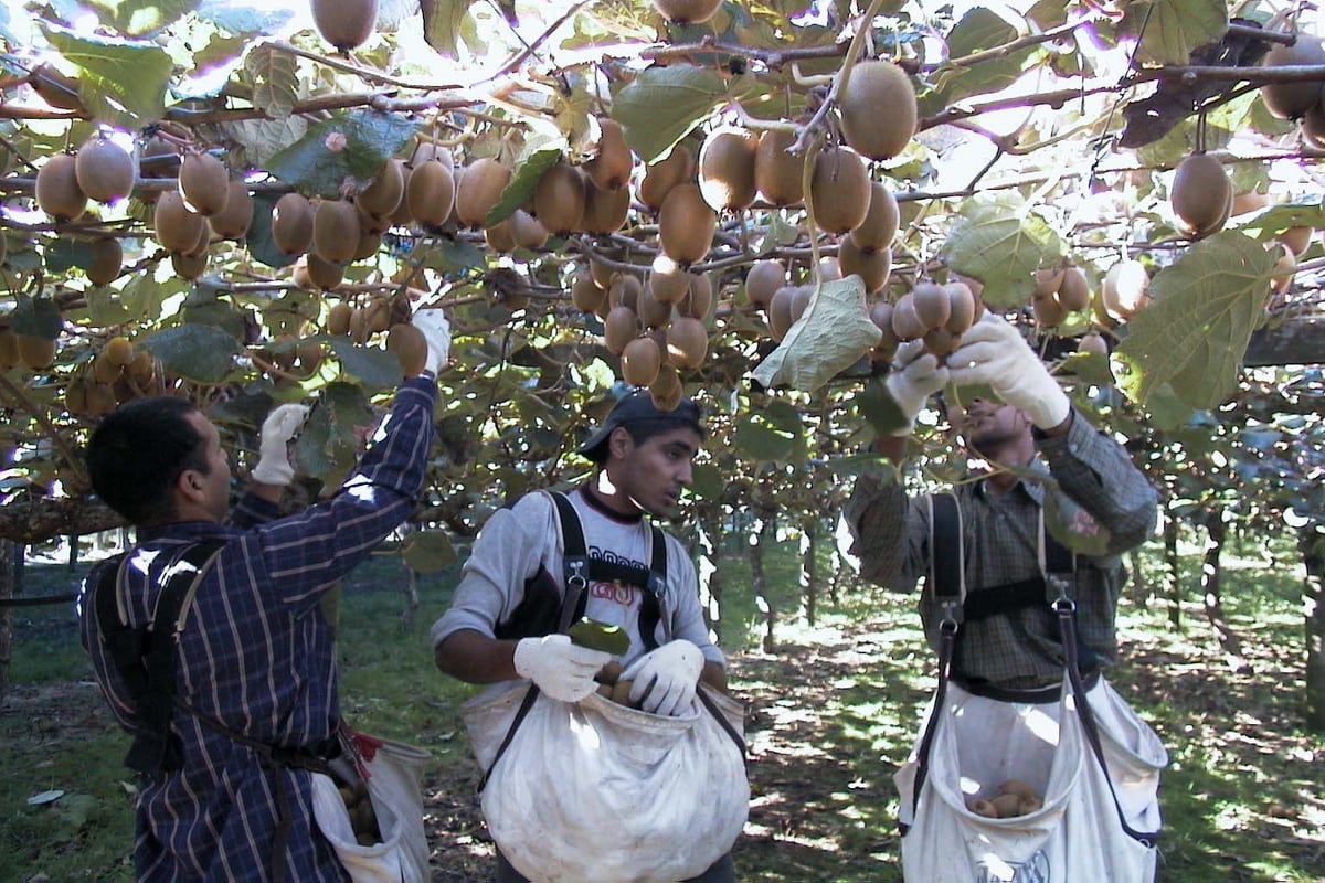 53 employers banned from recruiting migrant workers