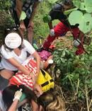 The Auckland Rescue Helicopter Trust crew had to cut the tree stump to transport the girl. Photo / Auckland Rescue Helicopter Trust