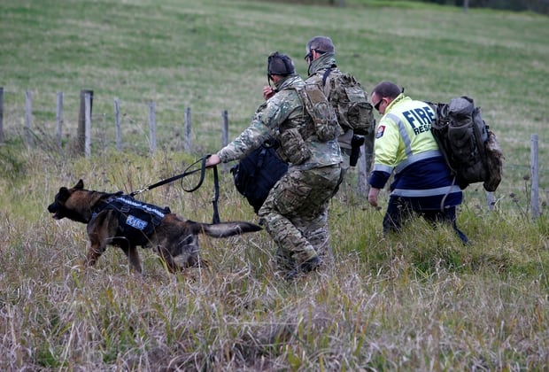 Armed Offenders Squad members and Fire Rescue at the incident yesterday. Photo / Michael Cunningham
