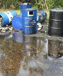 Oil and oil filters dumped on Piha Rd. Photo / Supplied Sarah Munro
