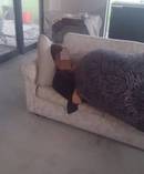The man used a bean bag as a blanket after inviting himself onto Gordon Pryor's couch. Photo / Facebook