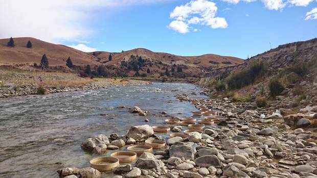 Sediments in the Manuherikia River were washed through sieves to collect the fossil bones and teeth. Photo / Vanesa De Pietri
