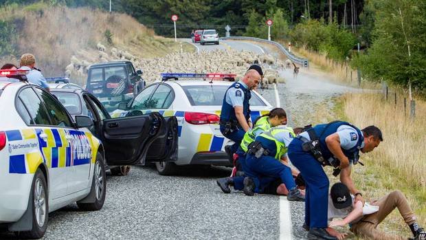 Police stop four fugitives who were held up by the sheep. Picture / James Allan 
