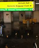 A flooded terminal at JFK airport in New York. Photo/twitter