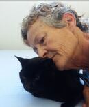 Wellington woman Jan Walton would rather give up her home than kill her cat. Photo / Supplied