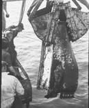 Salvaging from the wreck The Royal Mail Steamer Niagara in 1941.