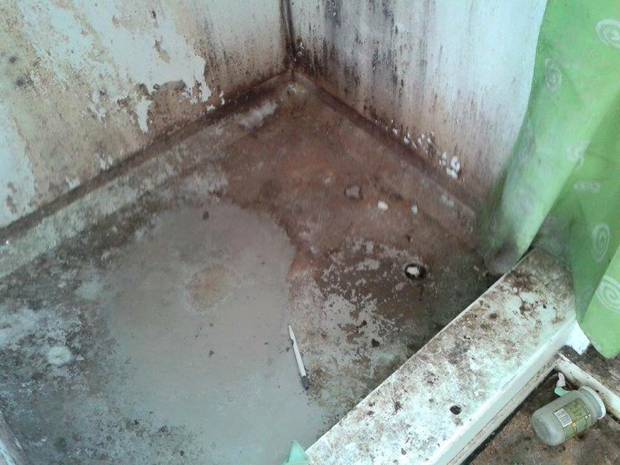 Images reveal the disgusting grime and dirt thas collected on the shower walls of a Bay of Plenty property. It is understood the bathroom hadn't been cleaned for 16 years.