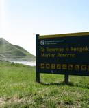The Te Tapuwae o Rongokako Marine Reserve protects over 2,400 hectares of coastline. Photo / MPI
