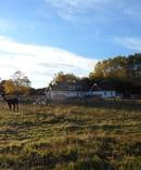 Robinwood Farm near Christchurch has been found to have exploited travellers for their labour. Photo / Facebook 