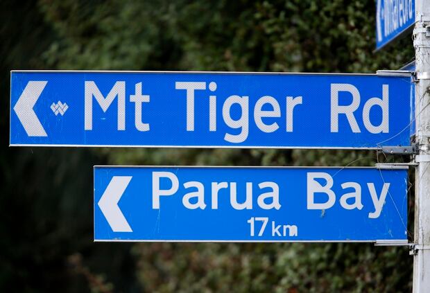 Mt Tiger Rd, near where the fatal shootings took place. Photo / Michael Cunningham