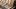 Photo / 123rf