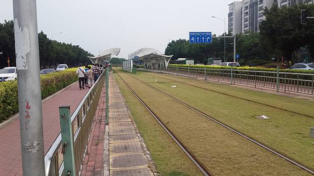 Grass surrounds tram tracks in Guangzhou, China. Photo/Chris Darby