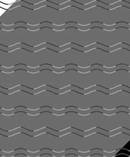 Can you see the zig-zags? Photo / Dr Kohske Takahashi
