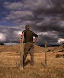 Farmers struck by drought in parts of the lower North Island and the South Island's West Coast can apply for tax relief. Photo / Brett Phibbs