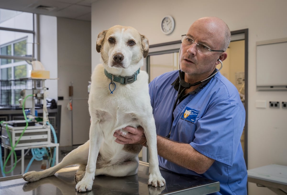 Vet job won't suit applicants taking 'time off for parenting'