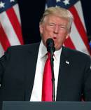 President Donald Trump. Photo / AP