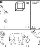 The test assesses concentration, attention, memory, language, calculations, orientation, executive functions and visual skills. 