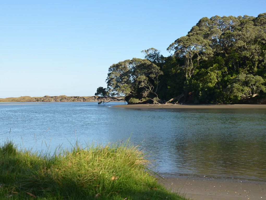 Waiotahe estuary.  Photo/Supplied