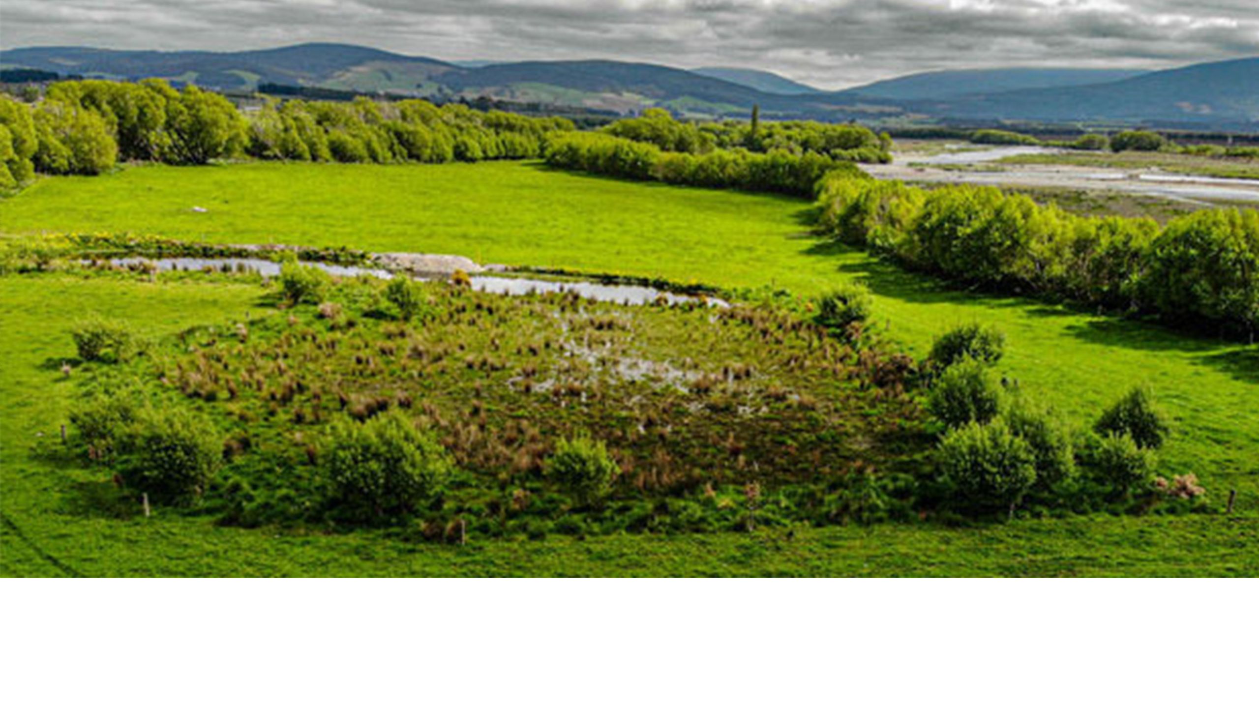 Edwin and Fungai Mabonga have fenced and planted alongside waterways, including the Aparima River and a wetland, to protect water quality on their farm. Photo / Edwin Mabonga.