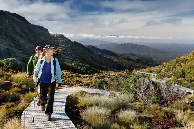 guided mountain walks