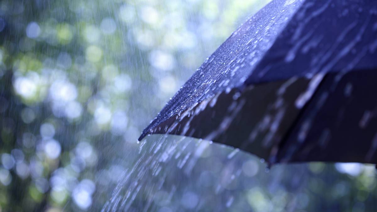 Weather: Heavy rain, thunderstorms possible for east coast of North Island